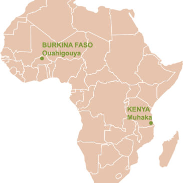 Lancement d’une seconde ferme de spiruline au Kenya début 2016