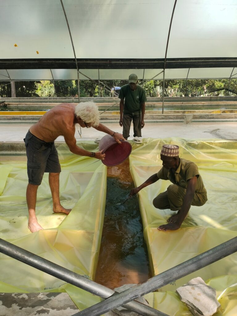 Nouvelle souche de spiruline au Kenya